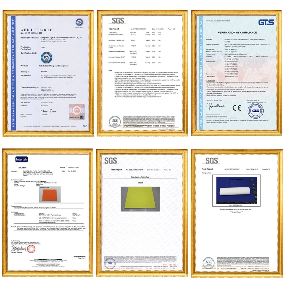 New Style Indoor Playground certificate New Style Indoor Playground certificate